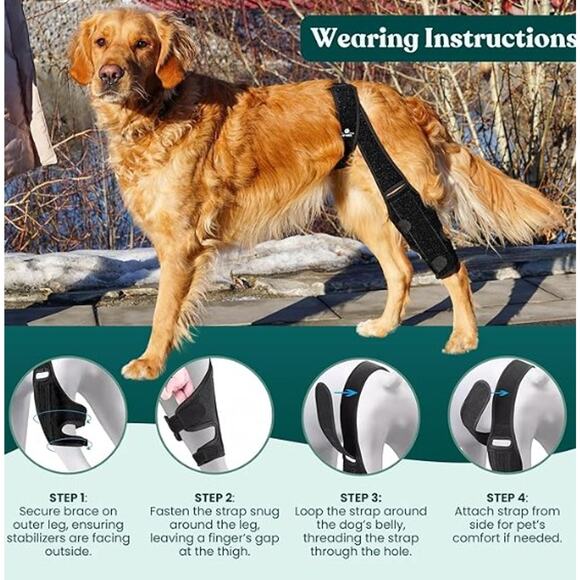 NEW Adjustable Dog Knee Brace - Picture 4 of 4